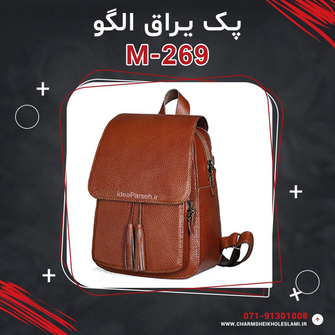 WhatsApp Image 2022-01-24 at 01.18.08 پک یراق الگو M-269 - تصویر 1